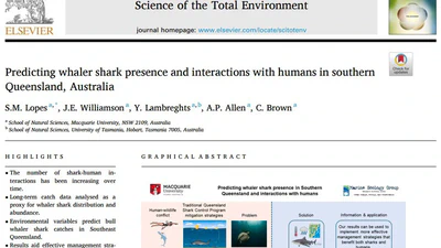 Predicting whaler shark presence and interactions with humans in southern Queensland, Australia featured image